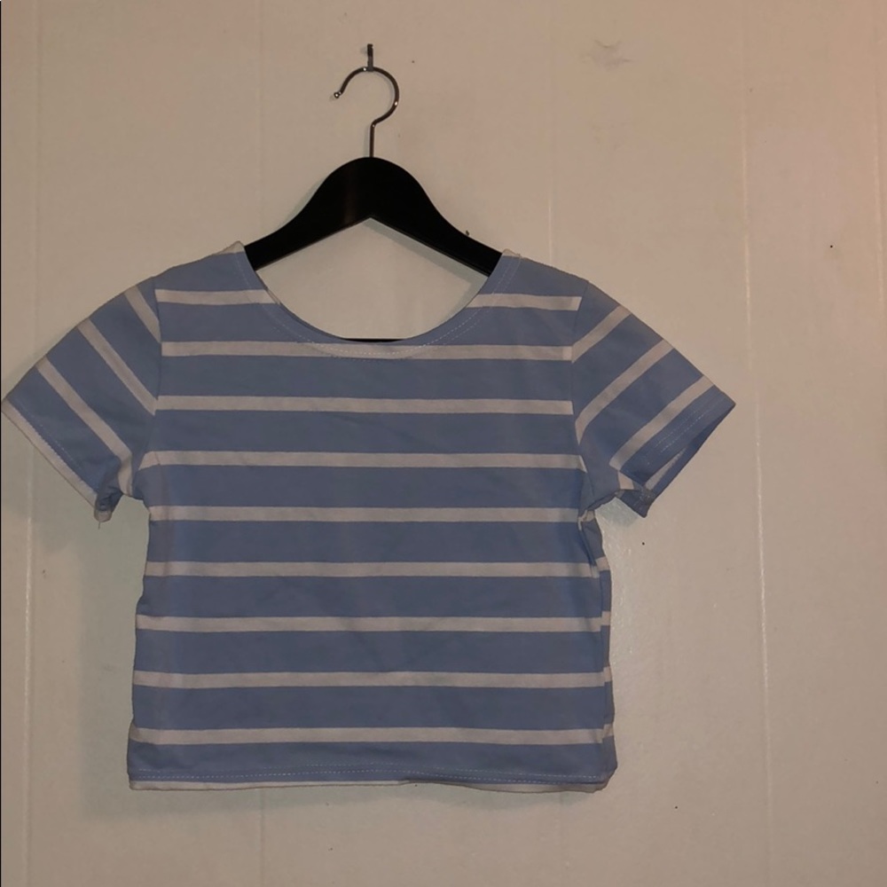 Striped Blue and White Crop Top